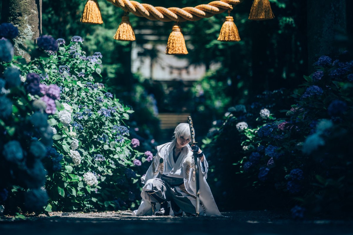 Kiu_amzik's tweet photo. 紫陽花の季節ですね

*cosplay https://t.co/fdOLMzQZh0