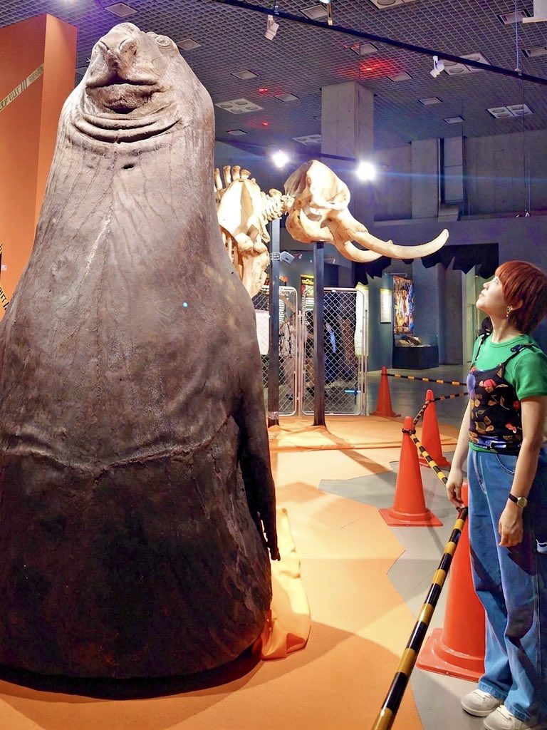 numaco_laughter's tweet photo. 上野の国立科学博物館 #超危険生物展 
🐅🐊🦍🦒🦭明日まで！
上野に行ったら、藝大美術館の日美50年展とゴッホ展も気になって、迷いに迷って博物館を堪能しました☺️大人もじゅうぶん楽しめるので皆さんぜひ行ってね！ https://t.co/gk9wvpiiga