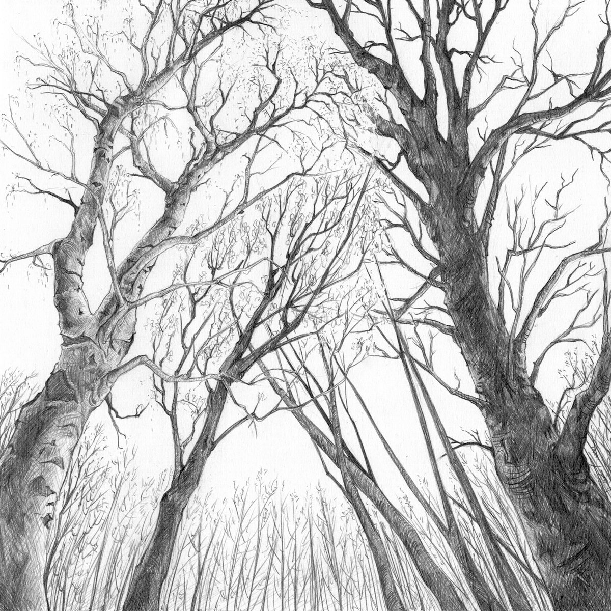 Helsczif's tweet photo. Workshop studies 2/3 https://t.co/owLq4GWzKI