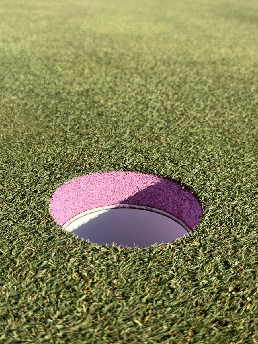 purdueturfy's tweet photo. Brought in some extra help to prep for Ladies Member Guest. Good times had by all. #golfcourselife #ouroffice #kidsofturf https://t.co/EzbfTRJs3f