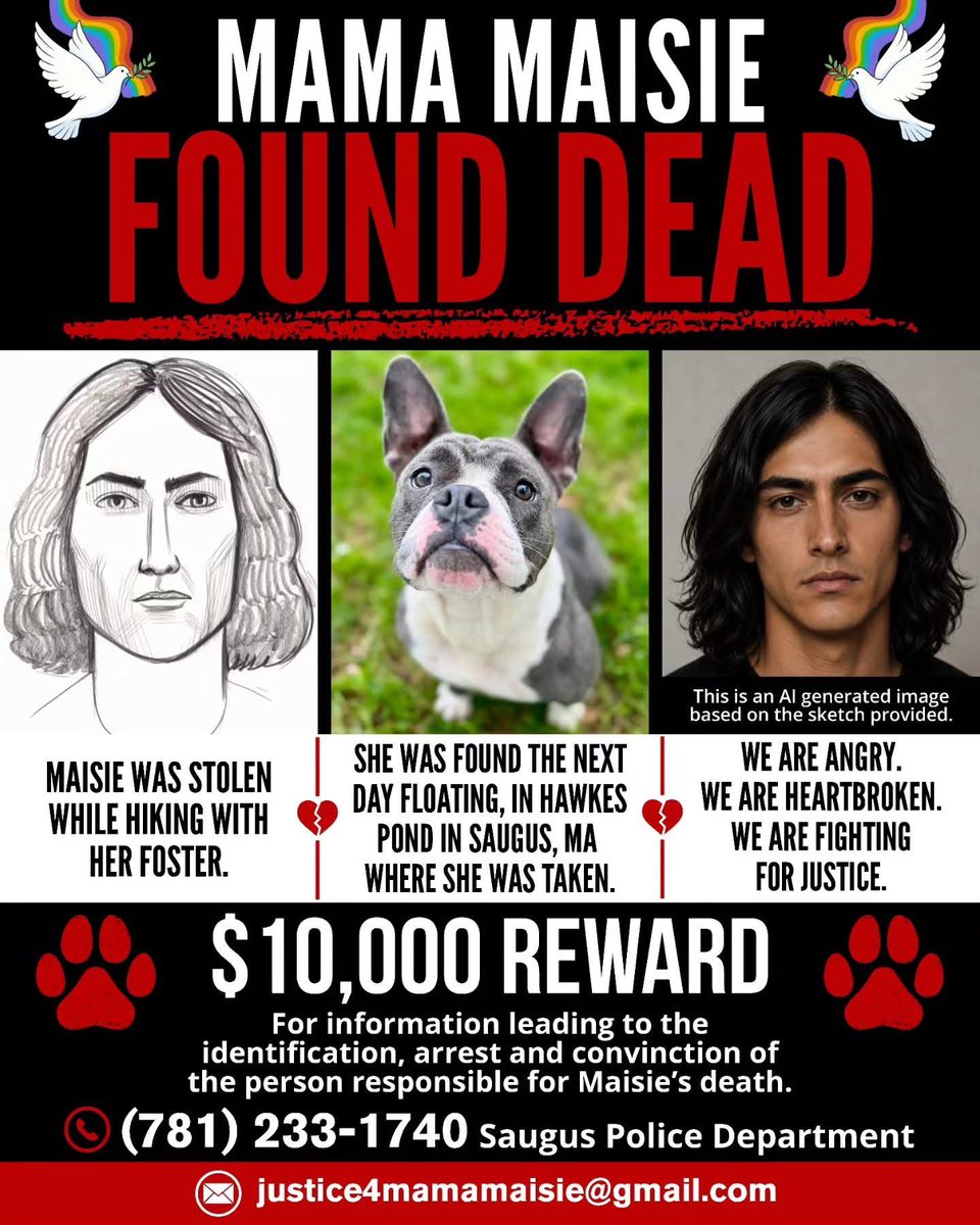 LoneStarChica's tweet photo. 🐾 JUSTICE FOR MAMA MAISIE 🐾

On Wednesday, June 10, Mama Maisie was walking near Hawkes Pond in Saugus, Massachusetts, when an unknown man approached, picked her up and ran into a heavily wooded area.

Her foster mom chased him and called 911, but he disappeared.

Police, volunteers and strangers searched for Maisie for hours. Flyers were shared, businesses checked surveillance footage and social media helped spread the word.

The next evening, they received the devastating news that Maisie had been found deceased in a pond.

Maisie had already survived cruelty before being rescued, yet she still loved and trusted people.

Saugus Police are actively investigating. A $10,000 reward is being offered for information leading to the identification, arrest and conviction of the person responsible.

Someone knows what happened.

Please share and help us get justice for Maisie. 🕊️❤️🌈
#JusticeForMaisie