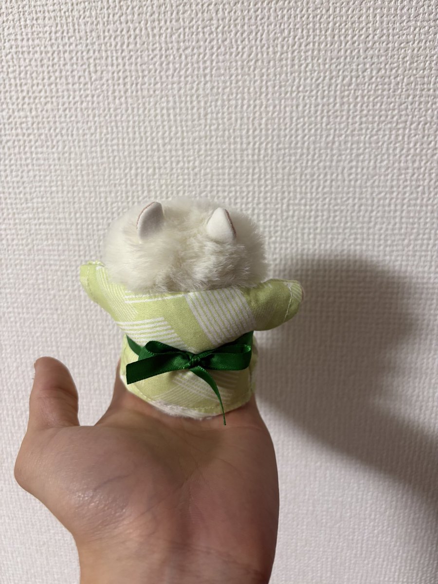 kosacho1101's tweet photo. うちの美作見てくれ https://t.co/wsRnv87bts