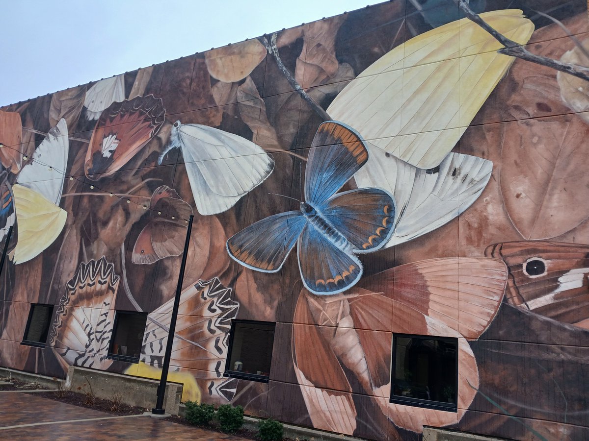 WanderFullBlog's tweet photo. Street #art in #Salina, #Kansas near charming #bookstores and #coffee #shops along Santa Fe Ave. https://t.co/1SDBnyAt5Q