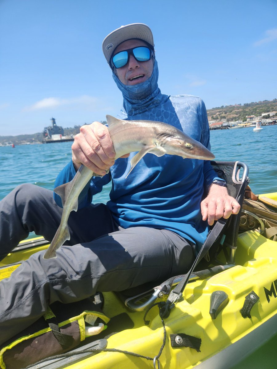 Puck_Line_Pro's tweet photo. 1-0 with our World Cup so far with a +110 USA ML winner last night

Going fishing (pics are from last trip). We will look at baseball and world cup when I'm back https://t.co/0dnkAtpKyj