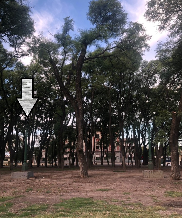 arroyoslibres's tweet photo. Para cerrar este hilo, va una selección de columnas de ventilación ("farolitos") que se van camuflando con los árboles.
#arboles #farol #entubamiento #chimenea https://t.co/uxh8wVjGGw
