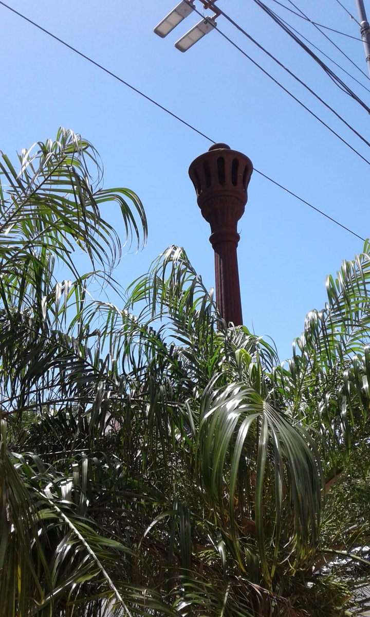 arroyoslibres's tweet photo. Para cerrar este hilo, va una selección de columnas de ventilación ("farolitos") que se van camuflando con los árboles.
#arboles #farol #entubamiento #chimenea https://t.co/uxh8wVjGGw