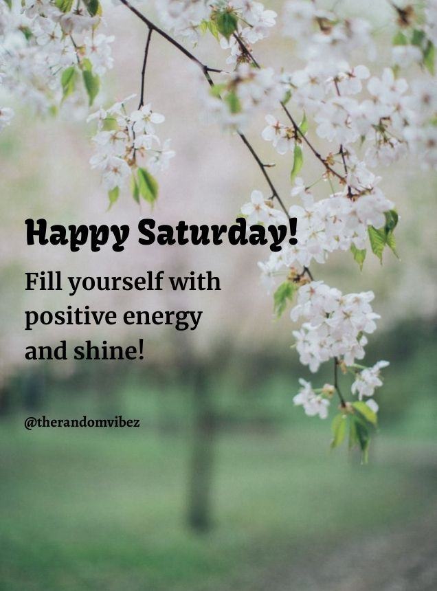 PositivelySuns1's tweet photo. Happy Saturday! Bring the positive energy and shine on today! 🌞  

#happysaturday #floweringtree #positiveenergy #shine #positivelysunshine https://t.co/CV3Ah0IP1W