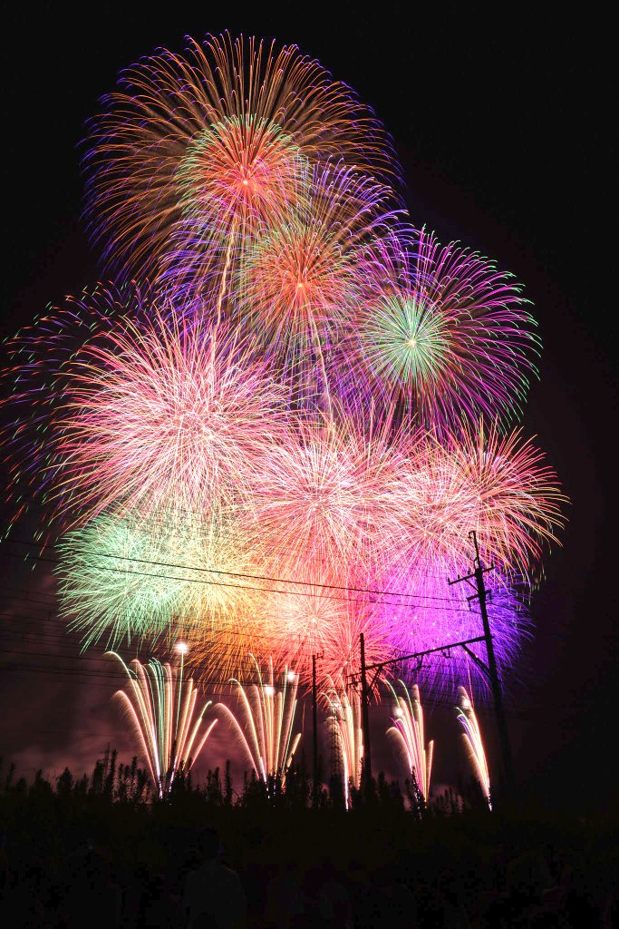 sakura_rail's tweet photo. 夏夜の花、咲く季節までもう少し https://t.co/FNbnU7t4rA