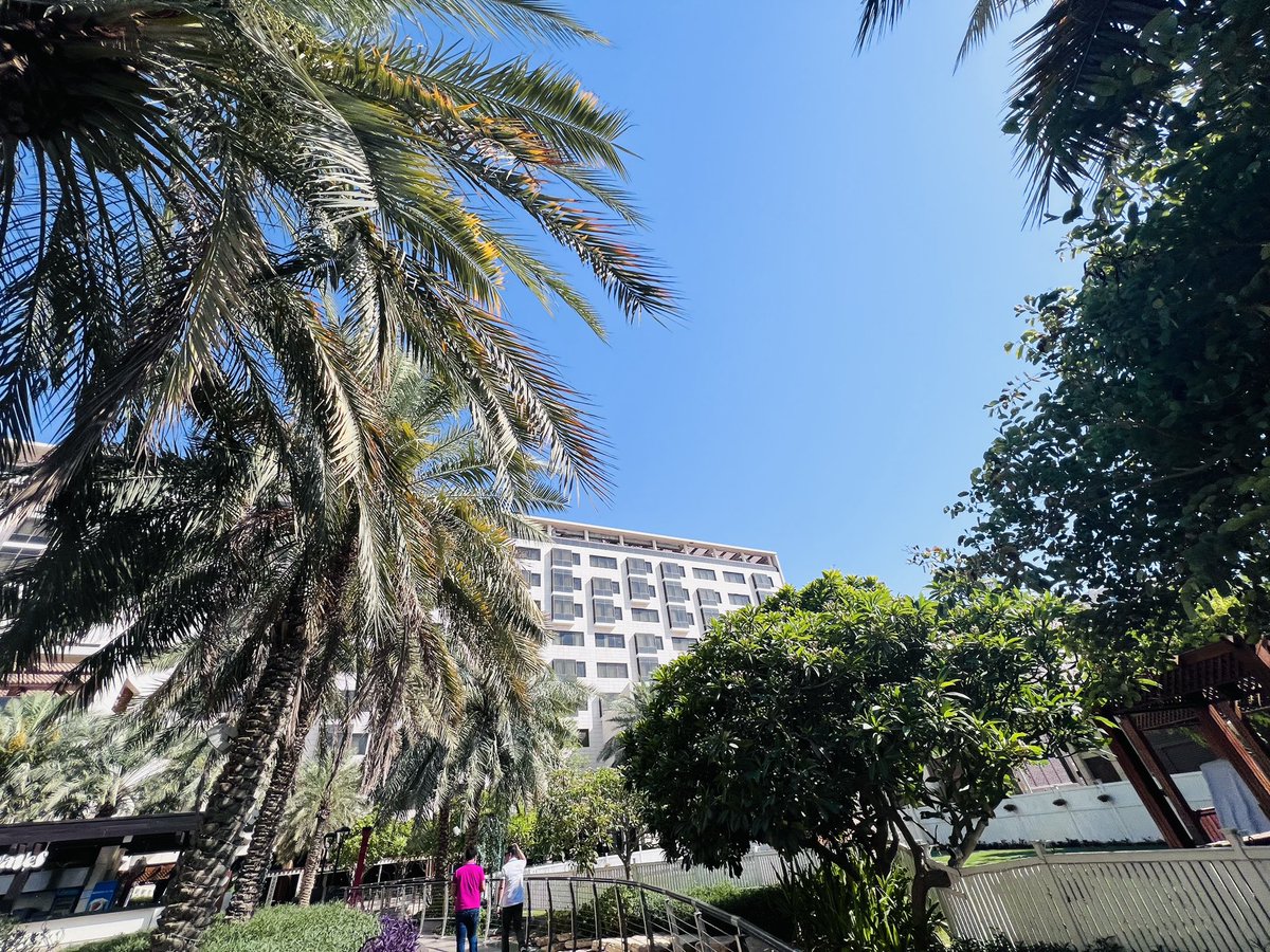 lavleeferlenssi's tweet photo. Guess where we went yesterday? Itโs @WestinDoha ๐ชธ @MarriottBonvoy #WhenInDoha #WestinDoha ๐พ #WeekendInDoha #HappyWeekendDoha #SummerInDoha ๐ #GoodAfternoonDoha https://t.co/7iWk47vBbL