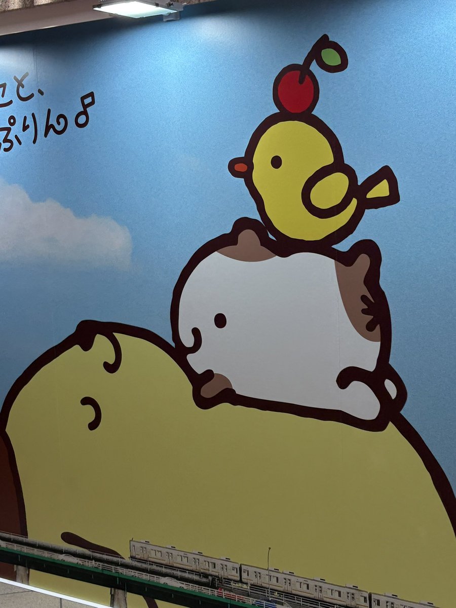 mayupote3's tweet photo. 私のぽむセンシティブらしいのでリベンジ
U · ̫· U https://t.co/y46IK7qnFo