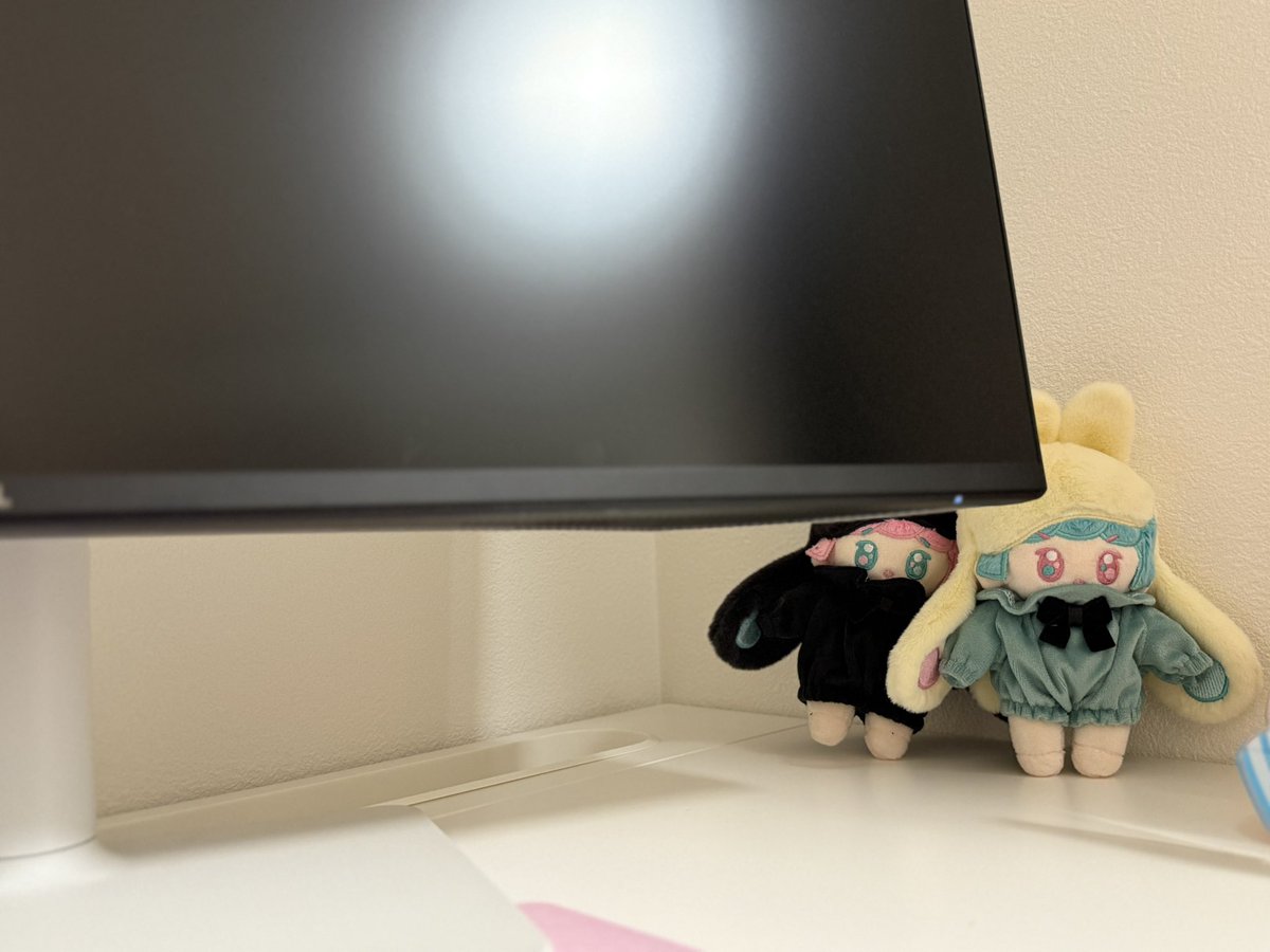 Sapino211's tweet photo. お洋服着てる写真です〜！
#無属性ぬいぐるみ https://t.co/Agpzwy2CqQ