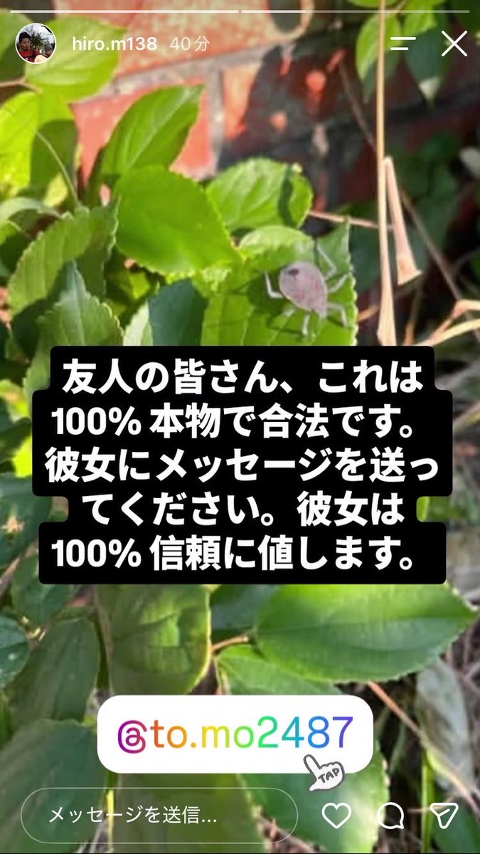 zanpa96's tweet photo. ご報告
Instagram乗っ取られました。
facebookは守りました。
そしてログイン出来なくなりました。 https://t.co/qoOX103wPu
