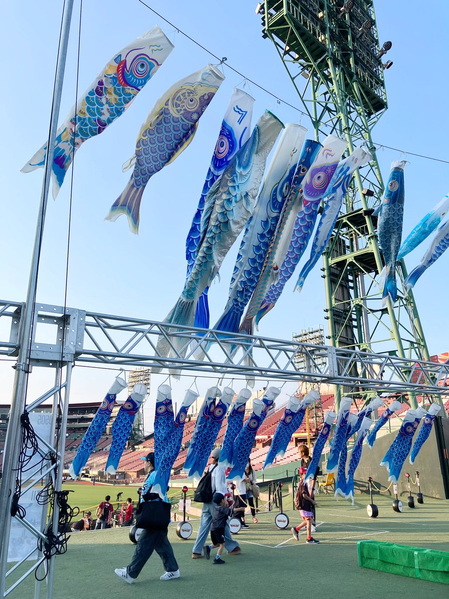 lumpychan5's tweet photo. ちょっとポケでるけどね。

いつもはピンクの鯉のぼりだけど、ちっこい青いのがついてるの、めちゃくちゃかわいかったー！

コラボ、いいね🥰 https://t.co/yQJ7oeigd1