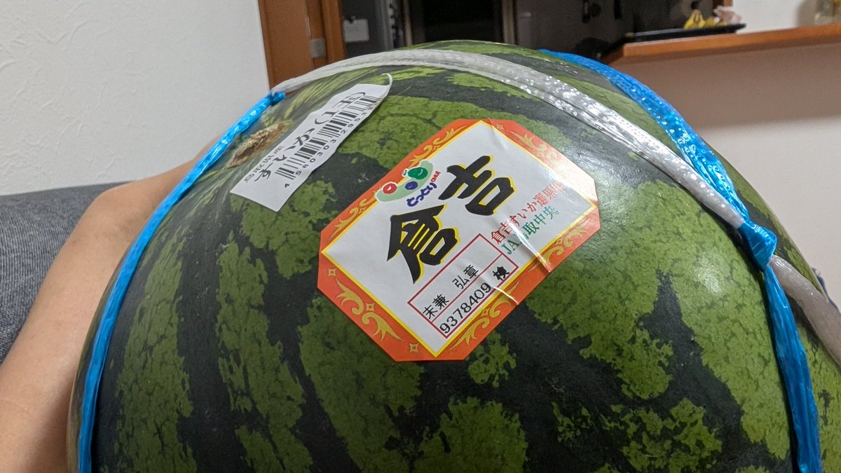 光年 tweet media