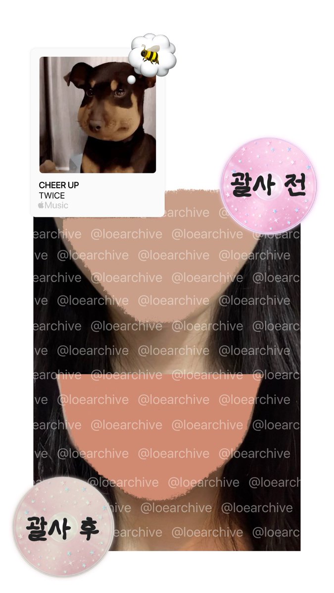 로에 tweet media