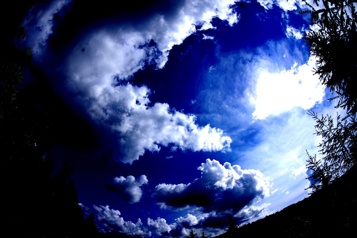 see0sea0's tweet photo. #photography
#bluepond https://t.co/TJXIXCxUS1