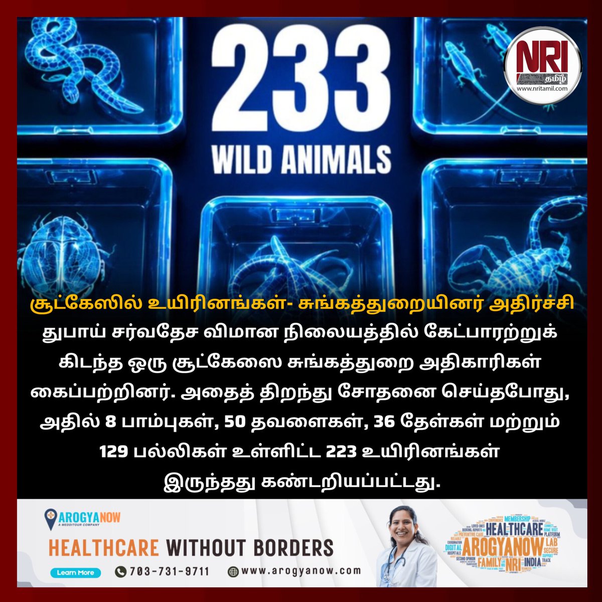 Nritamil's tweet photo. சூட்கேஸில் உயிரினங்கள்- சுங்கத்துறையினர் அதிர்ச்சி 😨
#DubaiAirport #CustomsAlert #WildlifeSmuggling #AnimalSmuggling #WildlifeCrime #ExoticAnimals #AnimalRescue #WildlifeProtection #AirportSecurity #CustomsOfficials #ShockingNews #BreakingNews #ViralNews #WorldNews #nritamil https://t.co/v3fiALrS0j