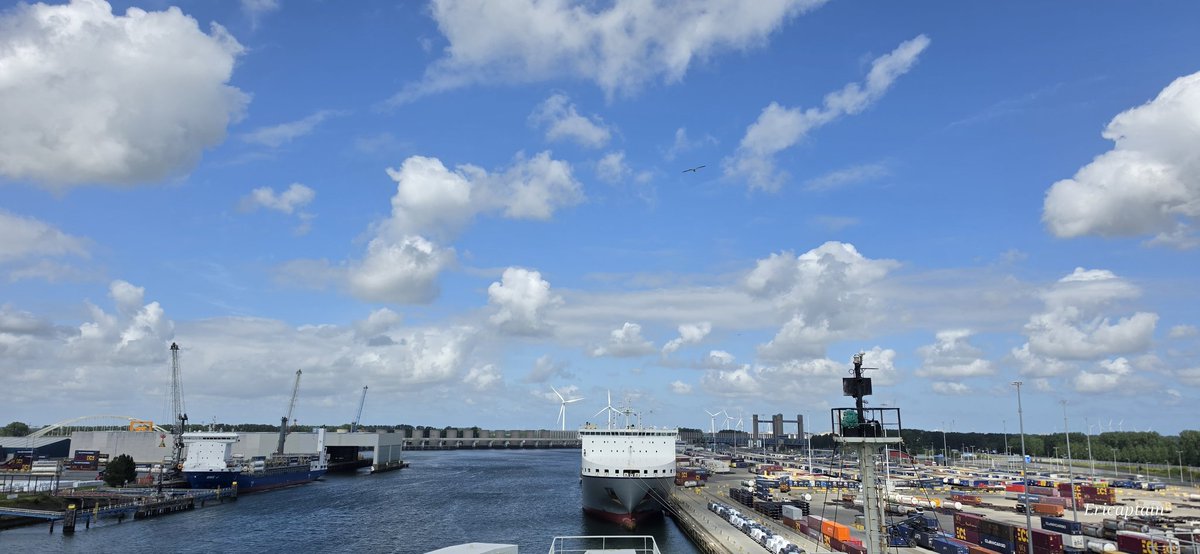 ericghlee65's tweet photo. Rotterdam 의 이모저모 풍경입니다. 좋은 하루 되세요!💕💐🚢🙏 https://t.co/cNibPT8GqM