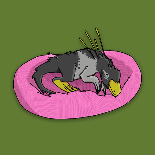 PrimevalEarth's tweet photo. Boas vindas @RobloxBR
E já que estamos falando do Brasil... você sabia que um dos dinossauros mais únicos já descobertos veio daqui?

O Ubirajara viveu há cerca de 110 milhões de anos e foi encontrado no Ceará. Com estruturas parecidas com penas e longos filamentos nos ombros, ele é considerado um dos fósseis mais extraordinários já encontrados no país.

Bem-vindos à terra do Ubirajara @roblox.