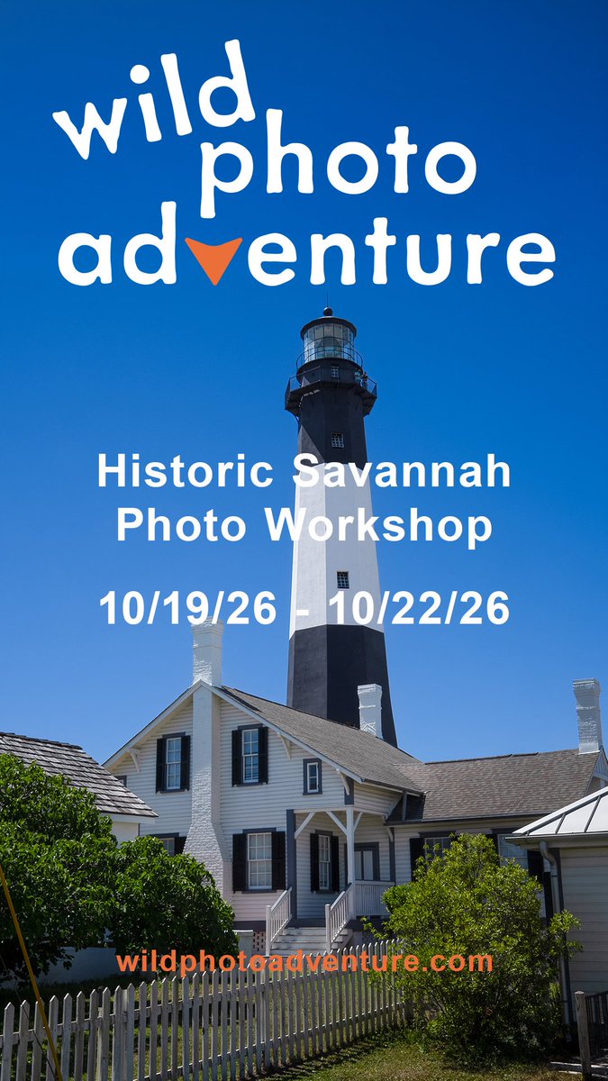 831digitalDave's tweet photo. Registration is now open for our #Savannah #photography #workshop check it out! All #camera brands welcome #sony #nikon #canon #fujifilm #olympus https://t.co/sWCGMIBwAb