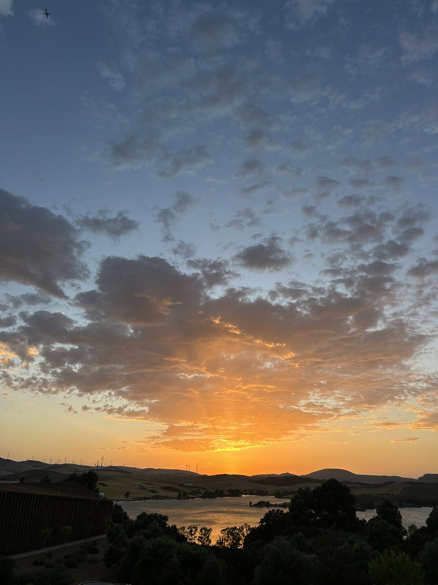 _mariar19's tweet photo. 🌅 https://t.co/ONvW2DV43z