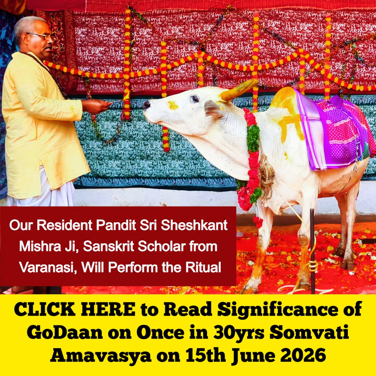 SaveAbusedCows's tweet photo. Somavati Amavasya on 15th June 2026 Carries Potent Synergy, Last Seen 3 Decades Ago on 15/7/1996

Convergence of New Moon on Monday, in Adhika Jyeshtha Masa, Exponentially Multiplies Merits of GoDaan (costs 14k to 34k)

~>Click on Video, To Read Significance &amp; Register👇
