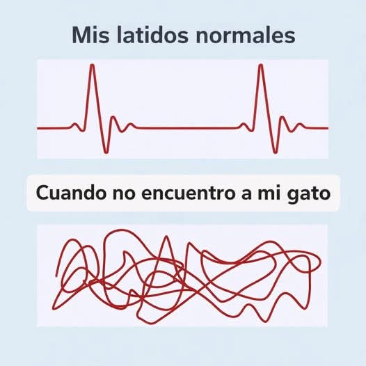 ManuSaenzVolvio's tweet photo. Me puede pasar ! https://t.co/bfiitLjd37