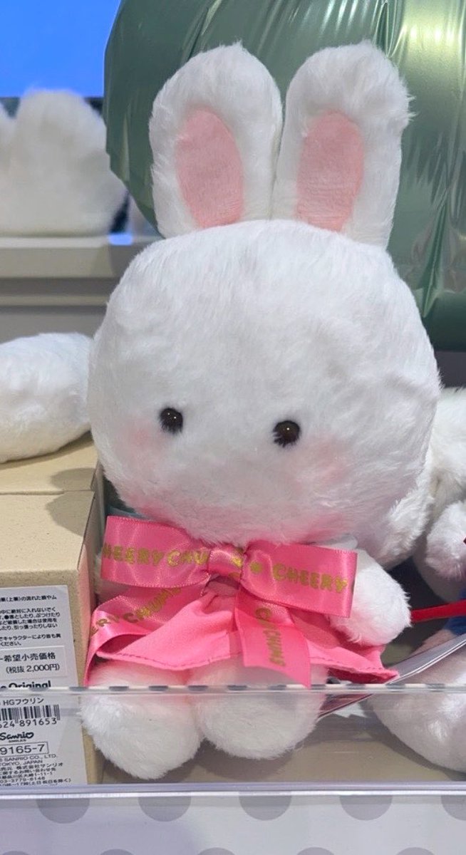 ちゃむ様 夫が外出先で見かけて写真送ってくれたチアリーチャム 私は特別
