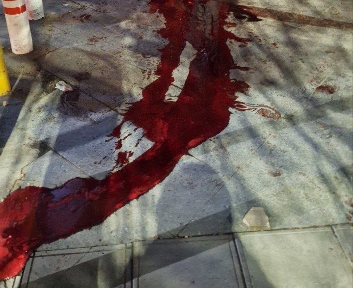 _omid52's tweet photo. یادمون نمیره تو رشت ماشین اتش نشانی برای خاموش کردن اتش نیومد اما  برای  شستن خون عزیزانمون  اومدن .
این خون ممکنه از زمین پاک شده باشه اما ننگش تا ابد بر چهره  کثیف رژیم ماندگاره.من تا عمر دارم ۱۸ و ۱۹ دی  داغدارم.
#پاينده_ایران_جاویدشاه 
#جاویدنامان_انقلاب‌شبروخورشید https://t.co/EqJfPqWTA1