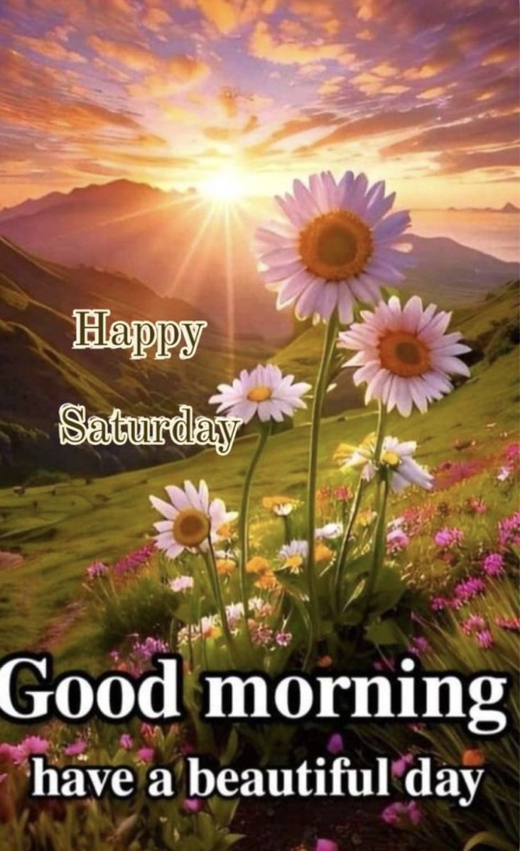 AmberBococ80258's tweet photo. @backtobasixmom 🤗🫶🏻Have a blessed and beautiful day Donna 🥰💕🐸 https://t.co/kSeZ7T86Bk