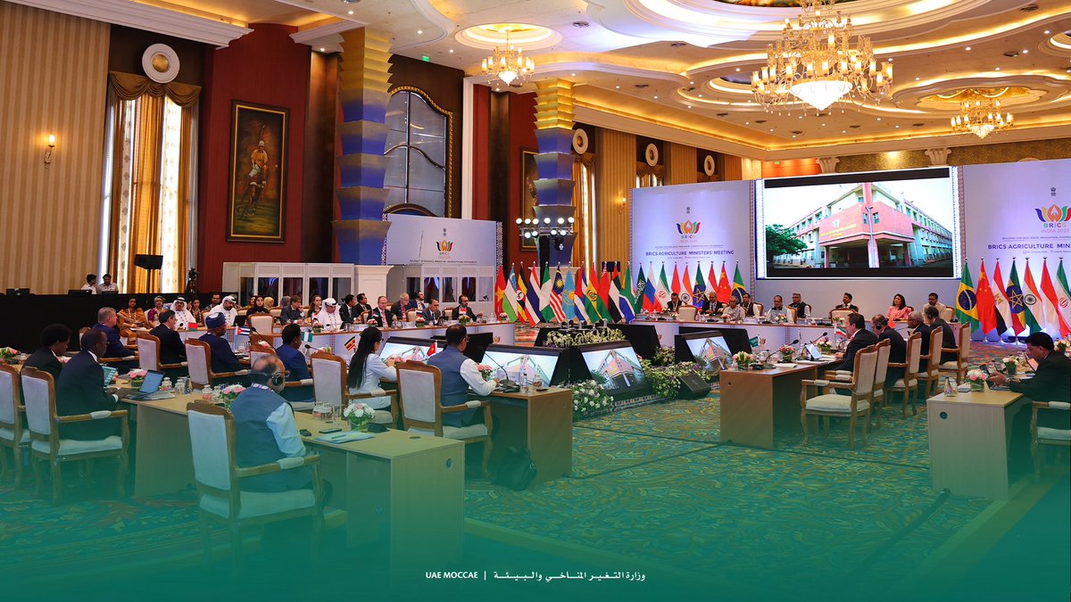 MoCCaEUAE's tweet photo. https://t.co/oDsJyadtyR