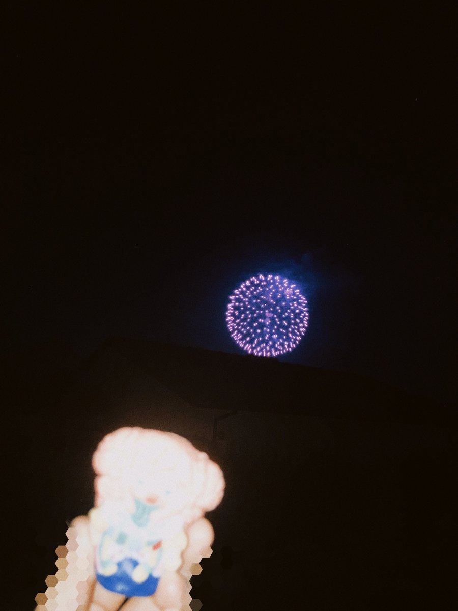 ymryrhk's tweet photo. 今日は地元の夏祭り(爆速🏖)で花火が上がっていたのでピピと一緒に見ました🎇
はじめての花火のおっきな音にビックリ！ https://t.co/SF6CqGbNyj