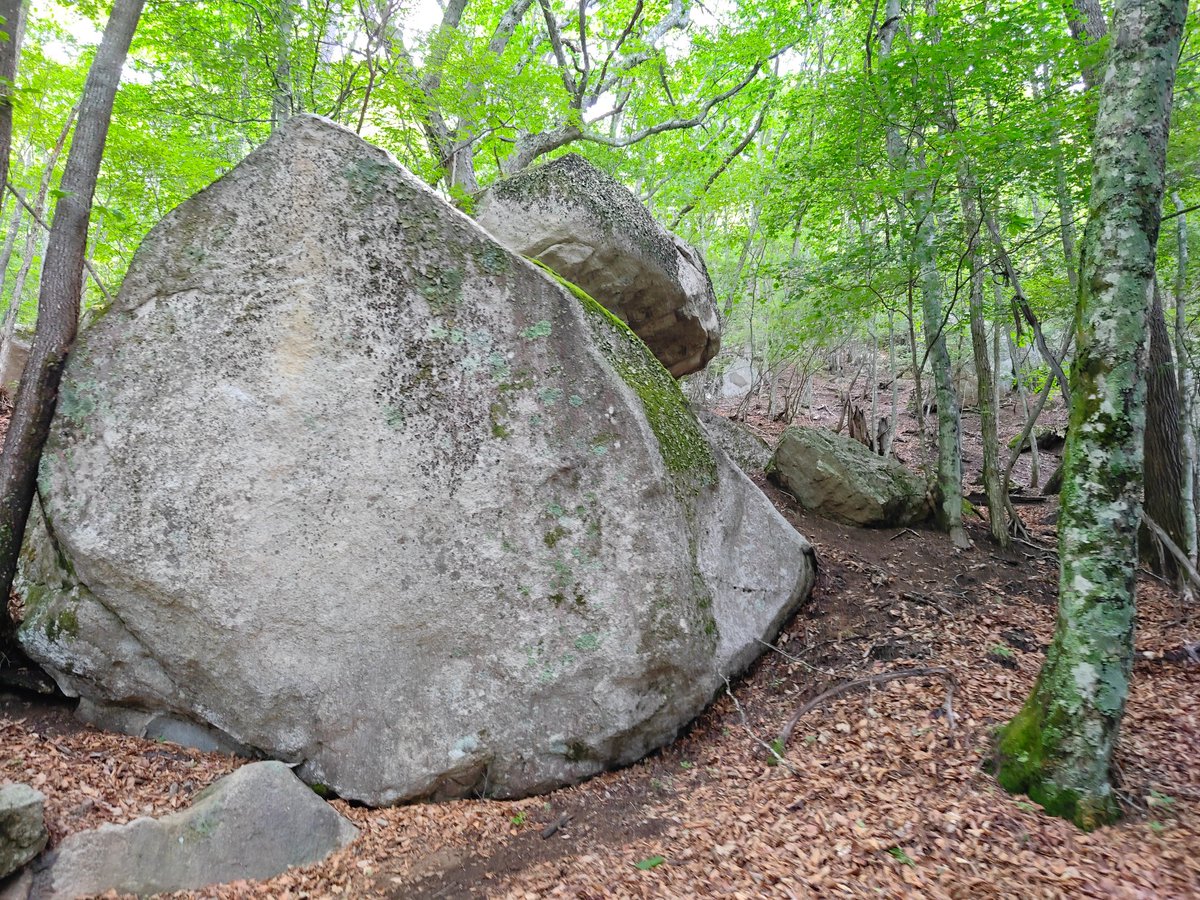 telitotten's tweet photo. 縁があって、とあるグループで山梨県の「瑞牆山(みずがきやま)」を登ってきました！なんと往復6時間。高尾山に比べて険しい道のりでしたが、道中や山頂で絶景スポットがたくさん見られ、非常に満足度の高い山でした！流石、日本百名山。 https://t.co/uV8l4M3Ygj