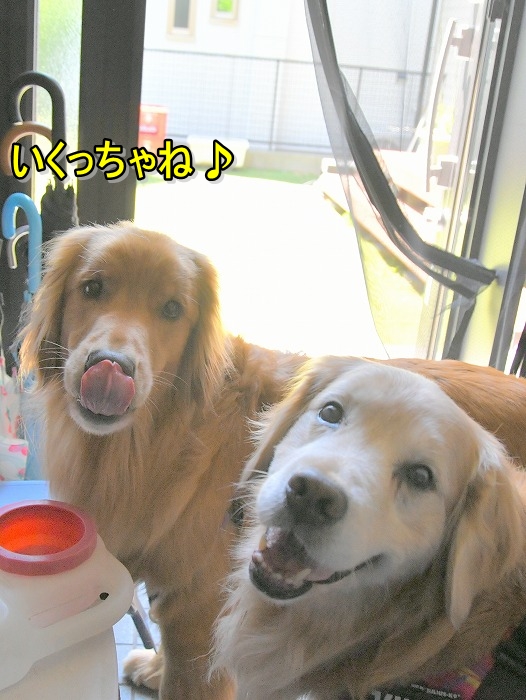 movisasu's tweet photo. 山のふもとで川遊び　part1  https://t.co/un1aHhTD4F https://t.co/8OixGoVtvh