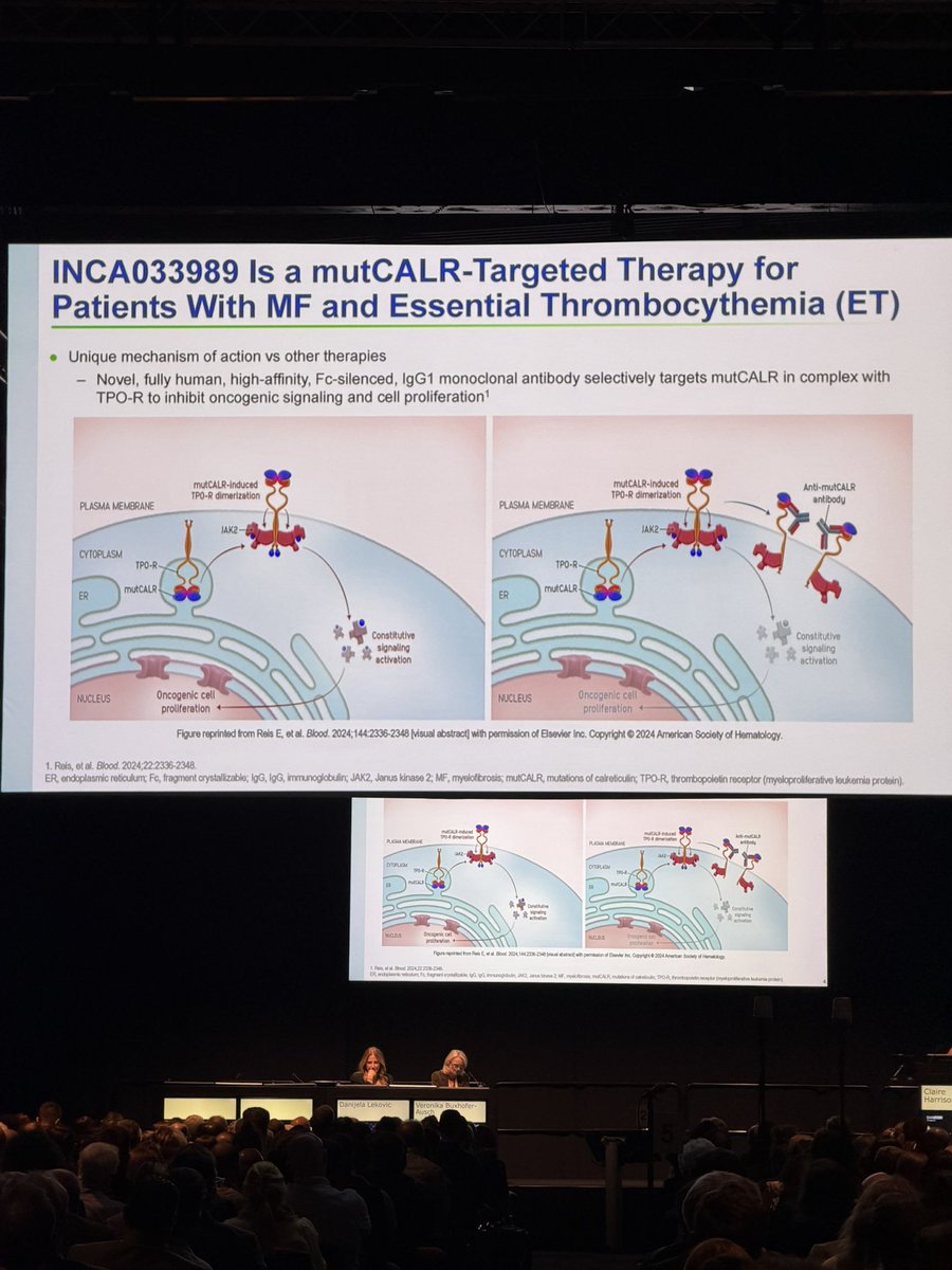 TheElfLab's tweet photo. Beautiful presentation by @harrisoncn1 on INCA989 in MF! #CALR #MPNSM #EHA2026 https://t.co/uKGIKBdphc