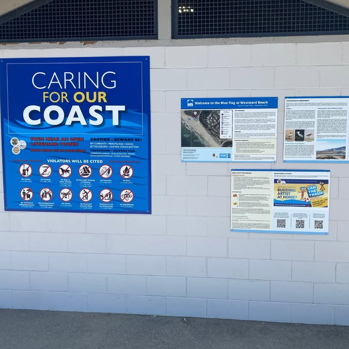 BlueFlagUSA's tweet photo. Interested in knowing more about the Blue Flag and what’s happening locally? 🤔

Check out the information board where you can find information about the water quality, local ecosystems, nearby sensitive areas, and cultural sites. https://t.co/yik07vYy66