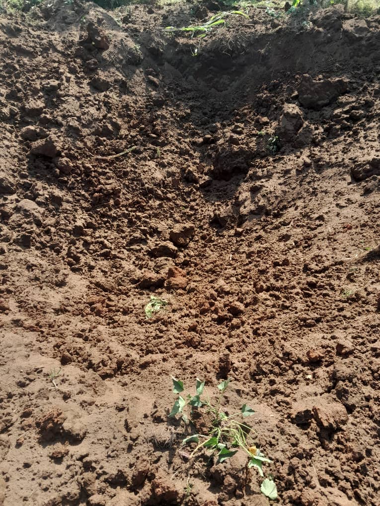 SebinezaPr44051's tweet photo. Mugihe amahanga atuje, l'ETA ya Kinshasa ikomeje gutsemba ubwoko bwaba nyamulenge muri haut plateau abana nababyeyi bari kwicwa buri munsi nindege, na drones, nous voulons la justice https://t.co/9ruMy9sOa7