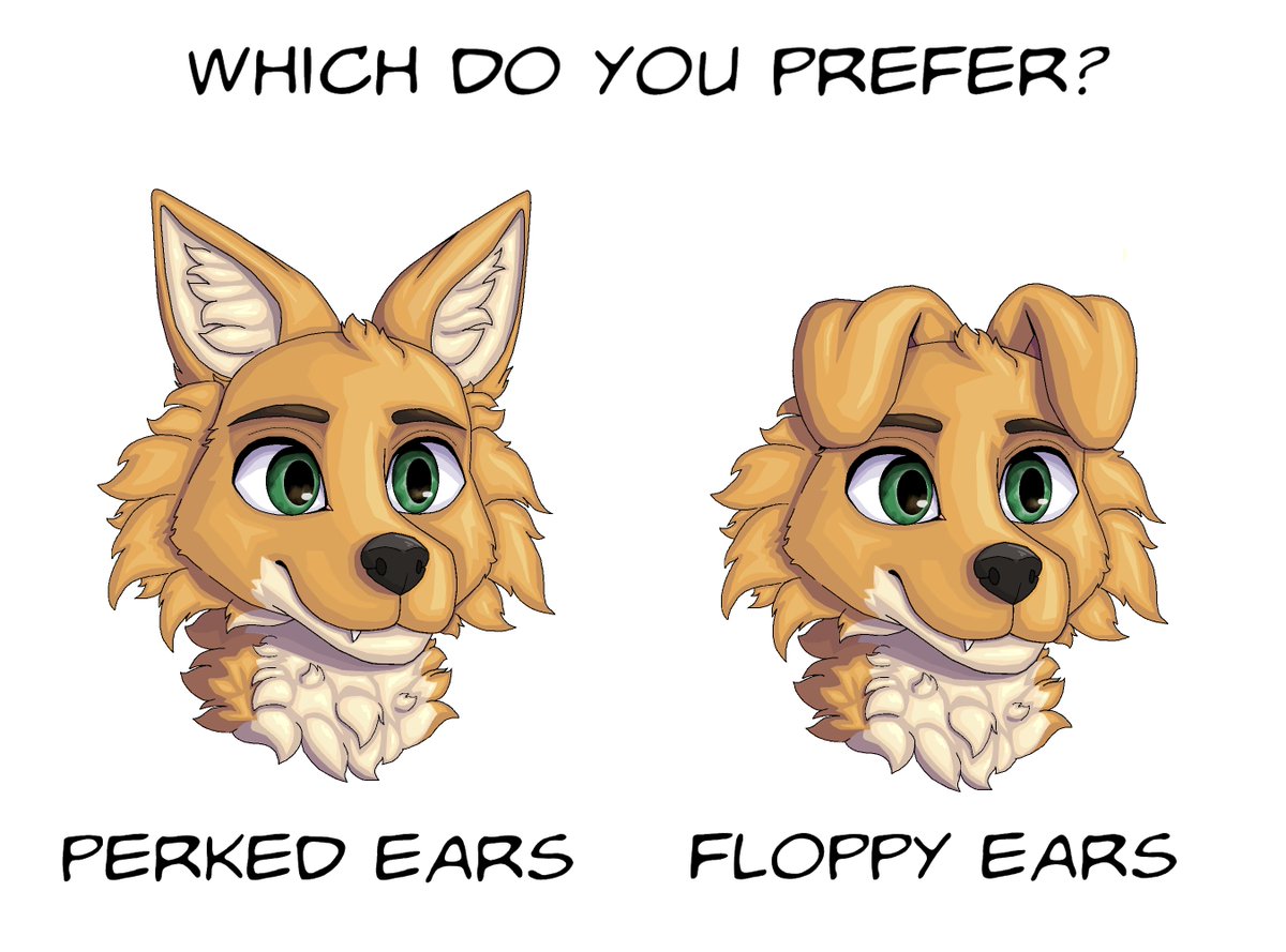 Rust_Racc's tweet photo. 🐶
#furry #furryart #art #fursona #furryartist #furrymeme https://t.co/ZncloURqh6