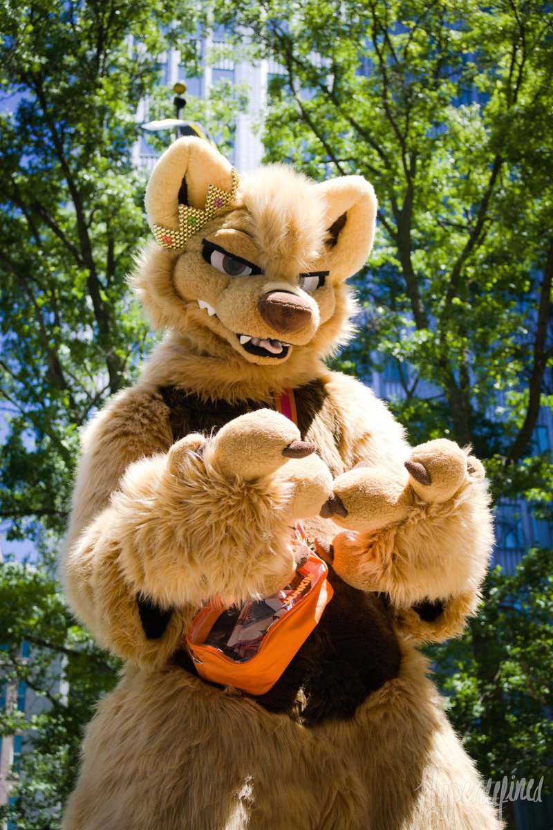 gay_porn_repost's tweet photo. Y'all coming to Anthrocon? #murrsuit #mursuit #anthrocon #anthrocon2026 https://t.co/8oiJWfAauk
