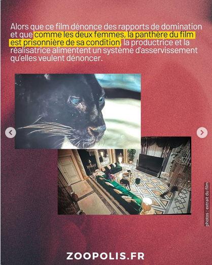 ChasseAbolition's tweet photo. #Film #TriangleDor #HélèneRosseletRuiz #MarianaGruss #dressage #ExploitationAnimale #CinémaEvénementAnimalier #CanalPlus #Toyota #LuiMagazine #IsabeliFontana #MarkSegal #PurePoison #Dior #Chlorosphère #maltraitance #animaux
https://t.co/G5tVNBPrDr https://t.co/I9HV5ID4qL