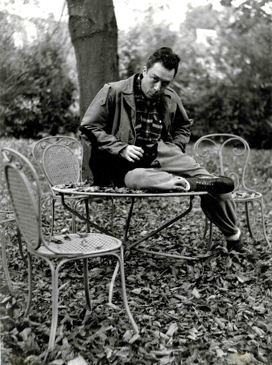 philosway's tweet photo. “When the soul suffers too much, it develops a taste for misfortune.”  

— Albert Camus https://t.co/CpbnxJ3DlH
