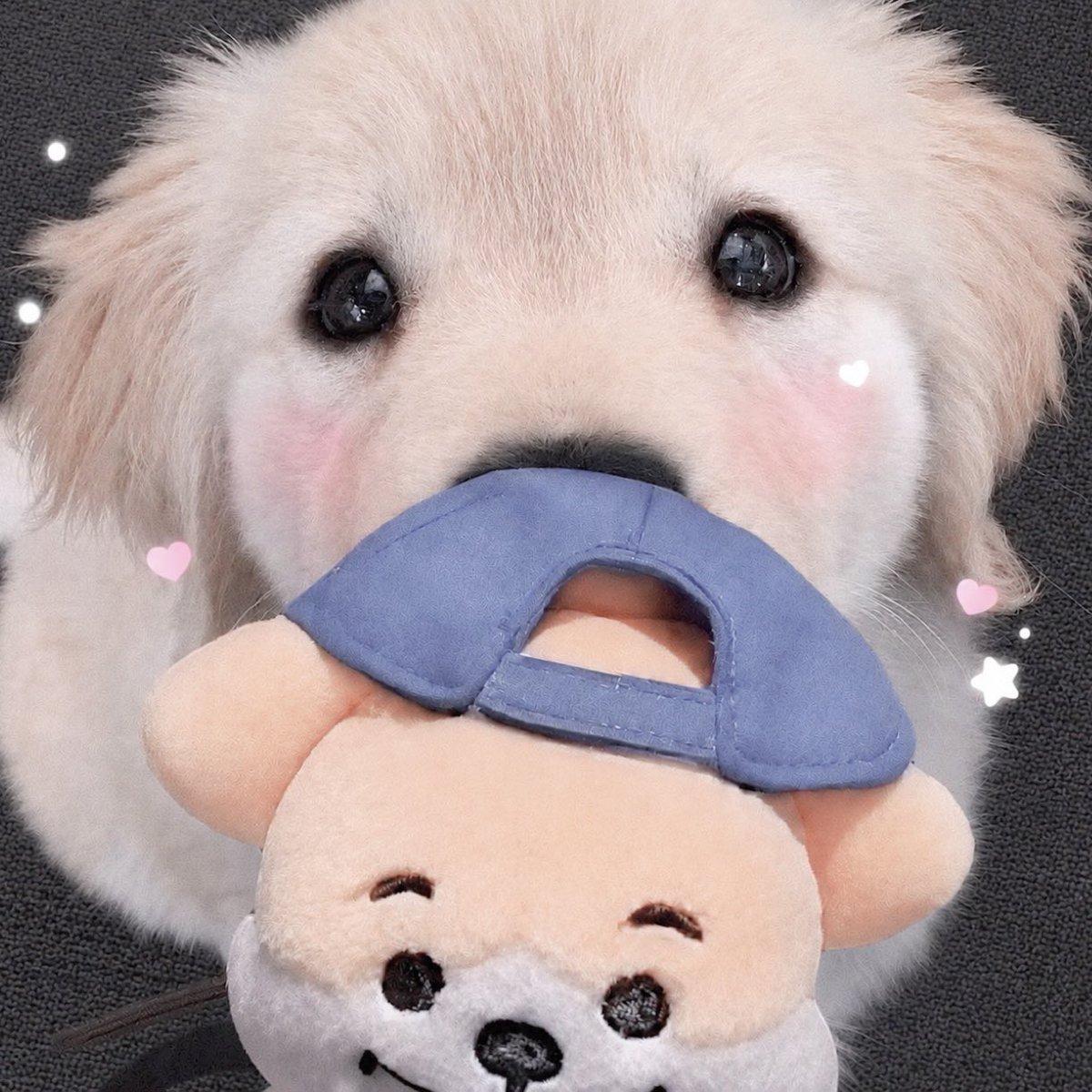 Bn…🐰♡ tweet media