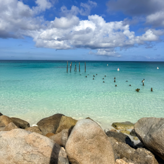 DiviResorts's tweet photo. Our favorite color? Blue. ๐
A beach day get any better than this!
๐ Druif Beach, Aruba
๐Little Bay, St. Maarten
๐Palm Beach, Aruba
#StMaarten #ArubaBeach #DruifBeach #BeachDay https://t.co/yOpARLvKjr