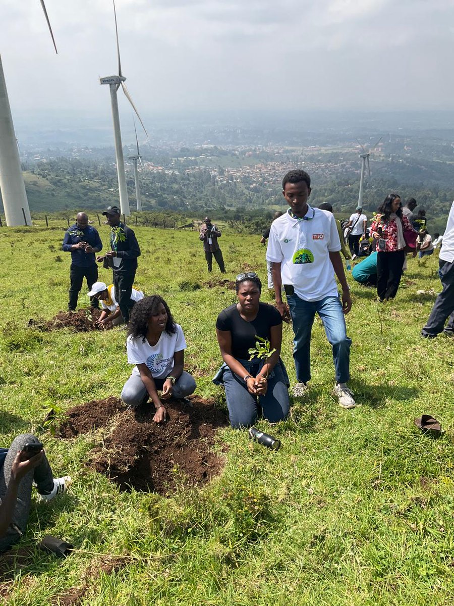 Indigenousinnet's tweet photo. This week at the Regional Geospatial Forum for Inclusive Biodiversity Action (RCMRD, Nairobi), geospatial intelligence met real-world impact:
🌱 Workflow mapping at Ngong Forest tree nurseries 🌳 Hillside tree-planting to boost Kenya’s restoration targets
#ClimateResilience https://t.co/3krXnf4JpS
