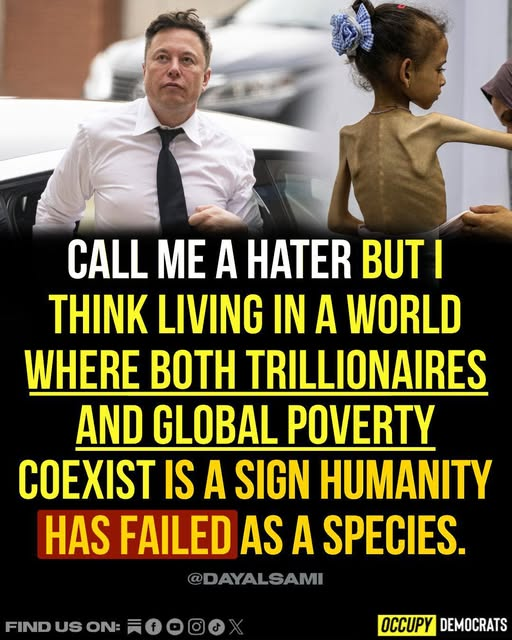 SnarkyLiberal tweet media