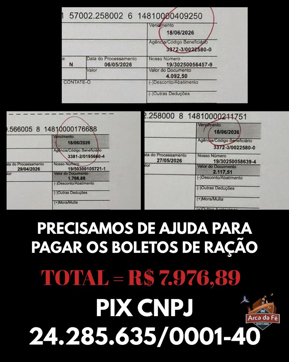 ongarcadafe's tweet photo. 🚨CAMPANHA DO PIX PARA NOS AJUDAR A PAGAR OS BOLETOS DE RAÇÃO DO ABRIGO 🚨

Ajude com qualquer valor e nos ajude através dessa campanha! 

Doe através do Pix: 24285635000140 (CNPJ) e envie o comprovante pelo whats 📲 https://t.co/oEI9vlqfKl https://t.co/44cIZaEIMh