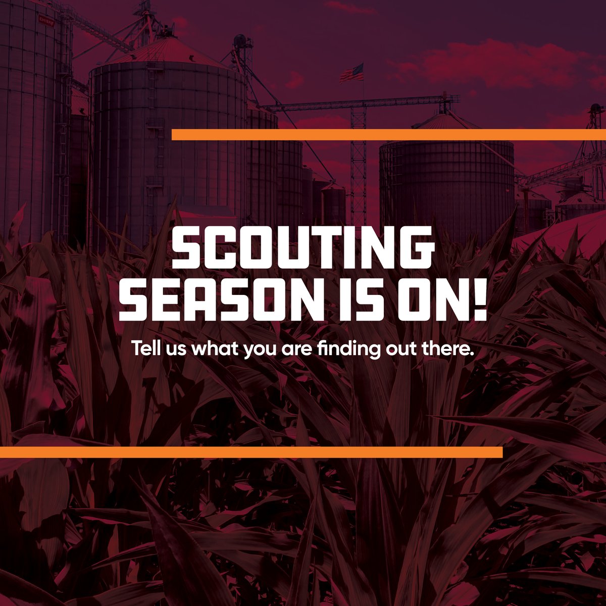 BrevantseedsUS's tweet photo. #DidYouKnow Brevant Seeds helps growers win big with agronomic scores and insights against emerging diseases.

Check out the scouting calendar 👉 https://t.co/ExuCNGaFqF https://t.co/ndlphPUiz6
