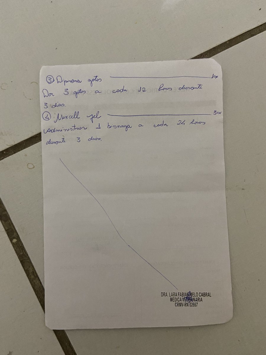 jjk_thay's tweet photo. Olá gente, está é minha gatinha, Cacau. Ela adoeceu tem três dias, está sem comer e beber água, ainda não sabemos o que ela tem pois o valor do exame é um pouco alto + https://t.co/rXUJMKexNx