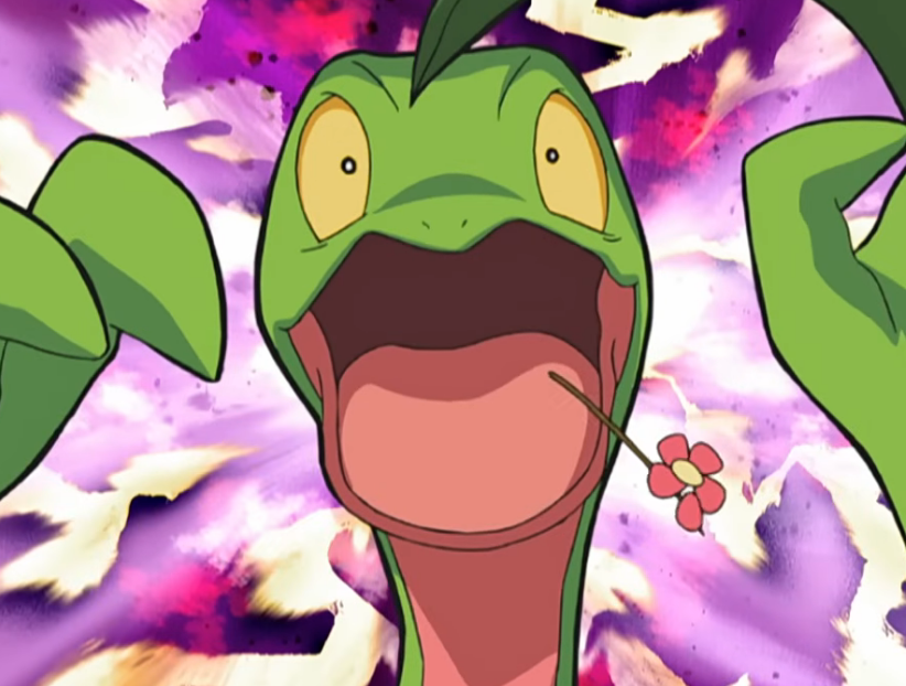 ChikoritaCheez's tweet photo. The raw heartbreak of Grovyle https://t.co/RKGFrypzHB