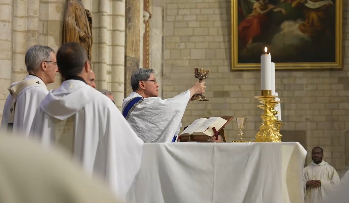 janey0406's tweet photo. [06.13.26] Cardinal Tagle presided a mass for the 200 years of the Living Rosary at Lyon, France

📸🎥OPM France https://t.co/FzqRnG6C3n